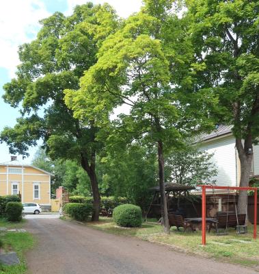 kohdekuva