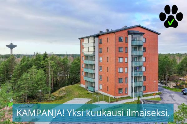 kohdekuva
