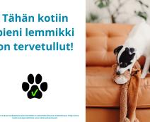 kohdekuva