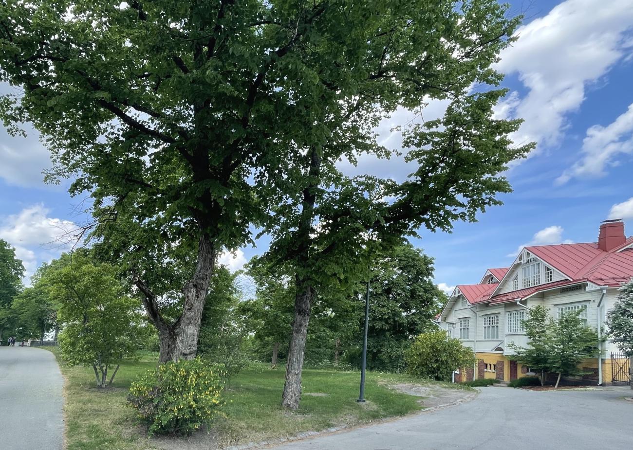 kohdekuva