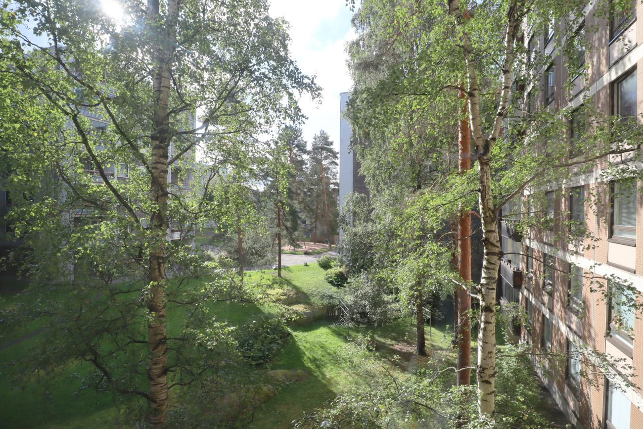 kohdekuva
