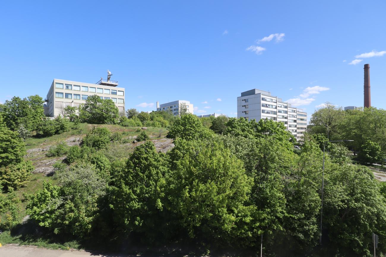 kohdekuva